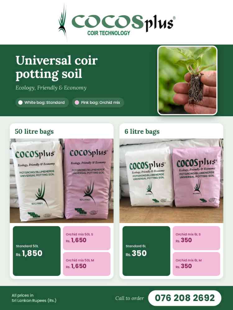 Cocos plus coir potting soil