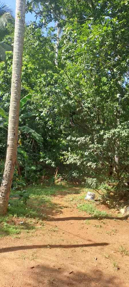 Prime 10 perch land for sale